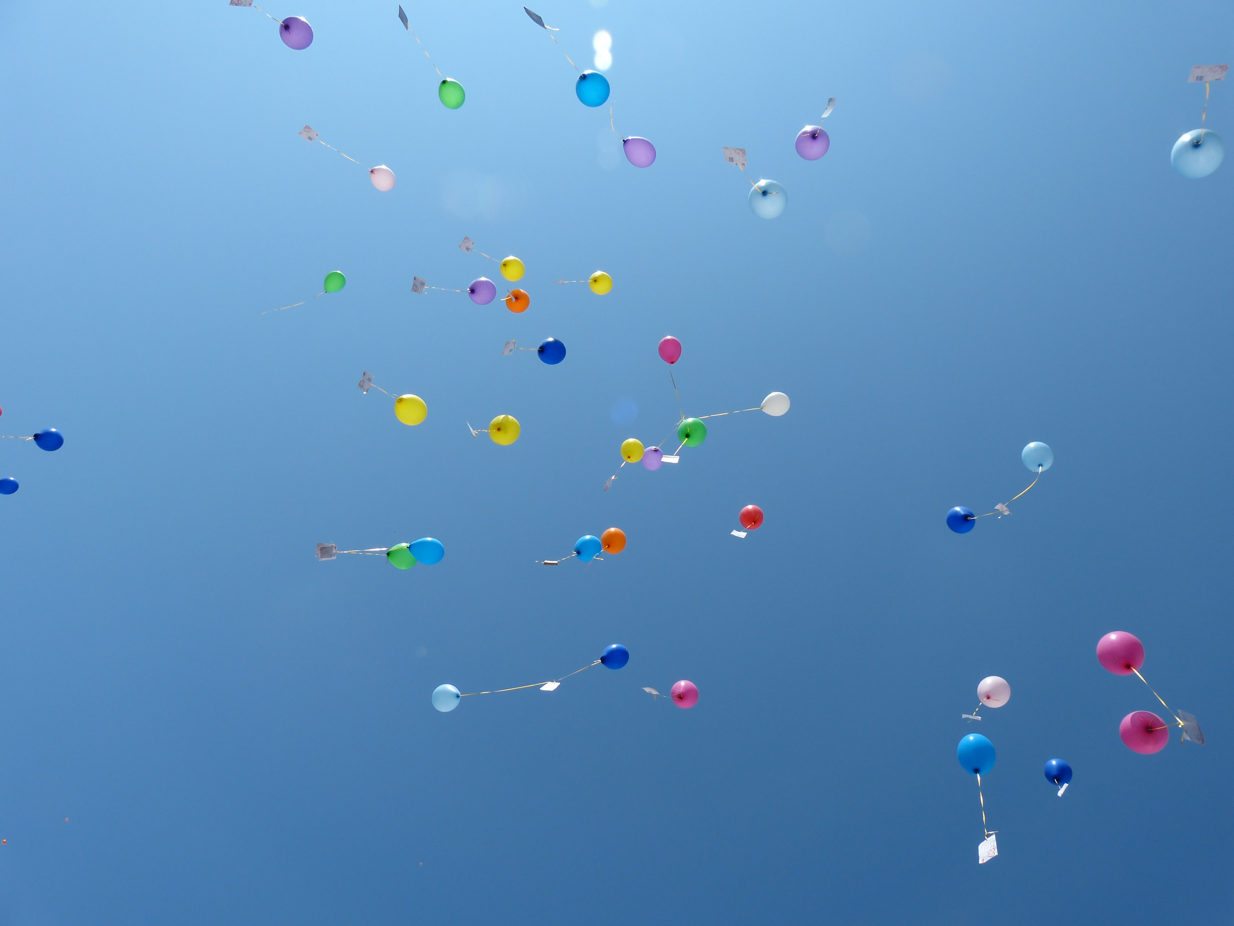 course_image